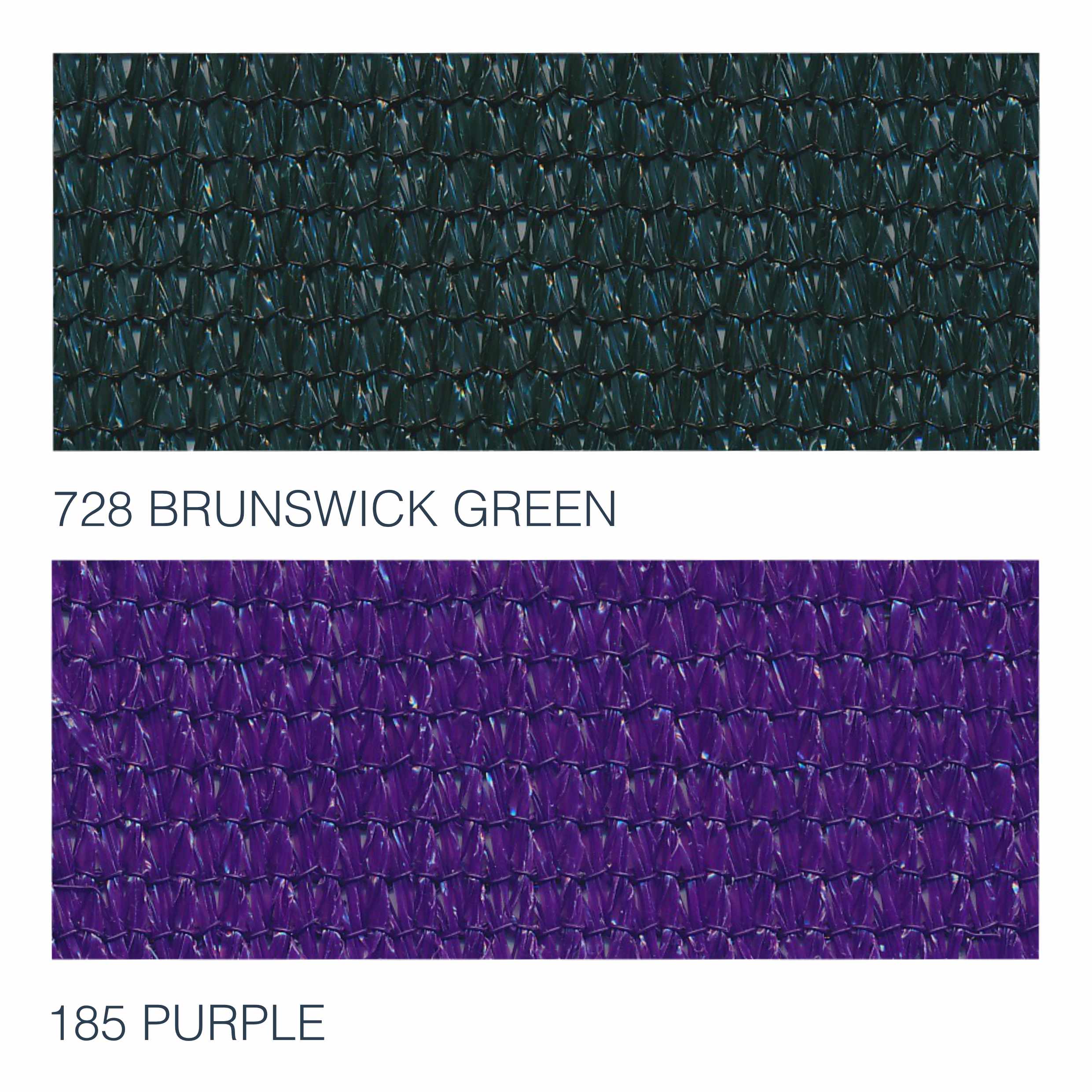 Brunswick Green & Purple