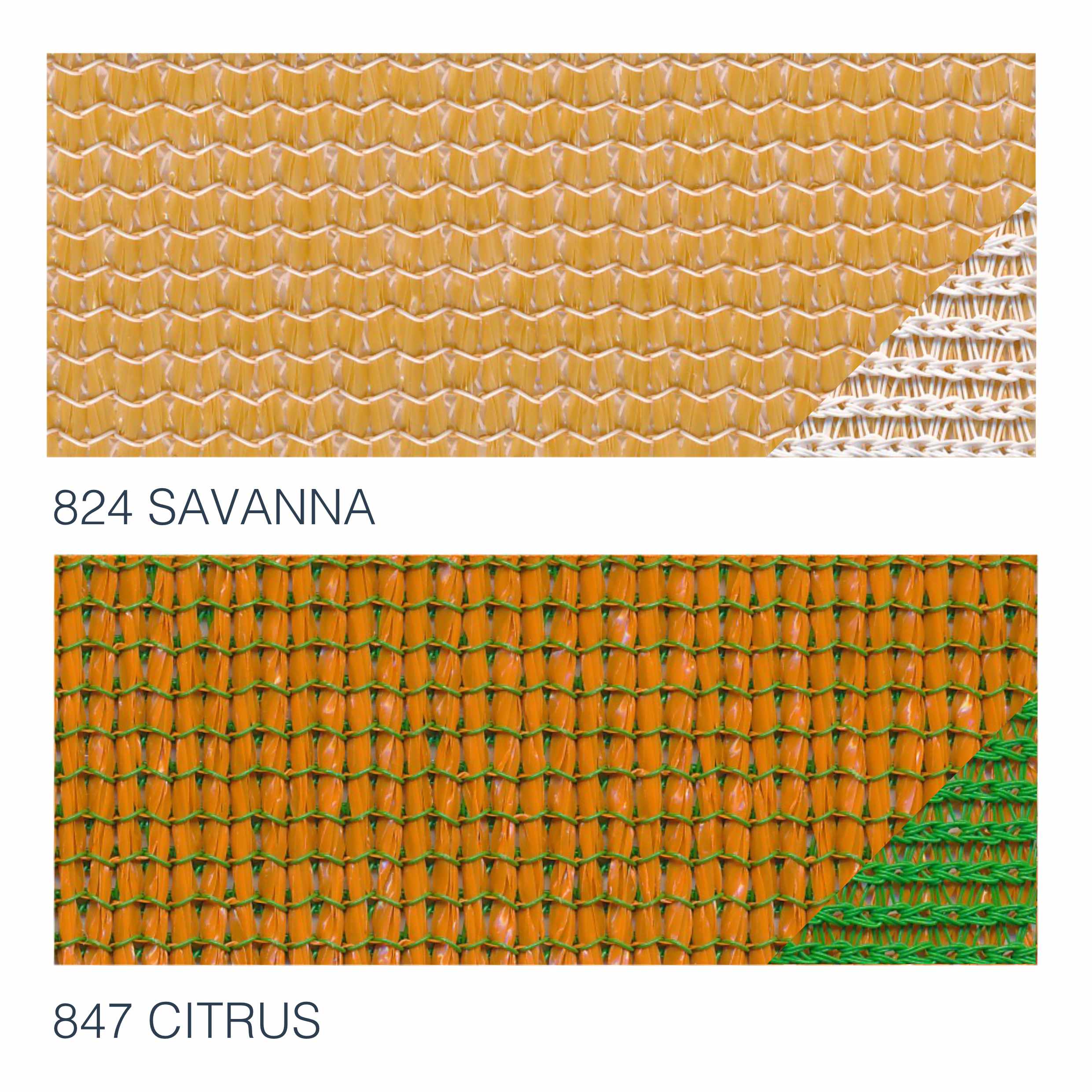 Savanna & Citrus